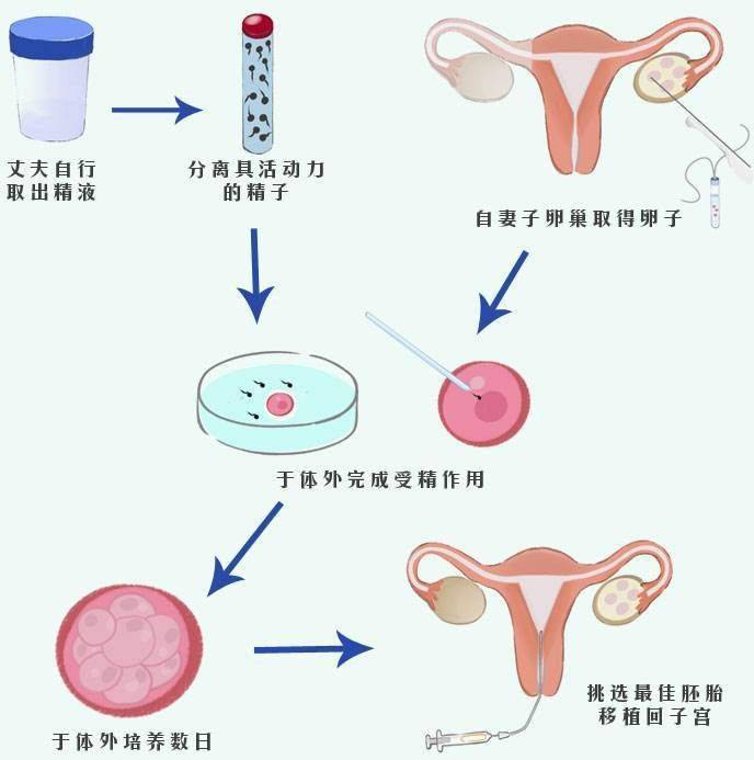 湖南捐卵志愿者补充